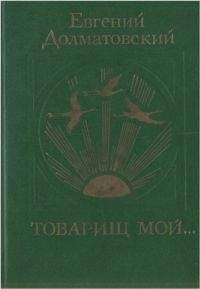 Евгений Долматовский - Товарищ мой - Читать 📖 Читать онлайн 👀 Читаемые книги читать онлайн бесплатно 🔥 booksread-online.com