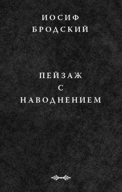 Иосиф Бродский - Пейзаж с наводнением - Читать 📖 Читать онлайн 👀 Читаемые книги читать онлайн бесплатно 🔥 booksread-online.com