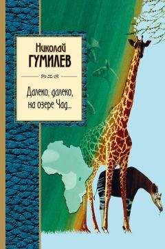 Николай Гумилев - Далеко, далеко на озере Чад… - Читать 📖 Читать онлайн 👀 Читаемые книги читать онлайн бесплатно 🔥 booksread-online.com