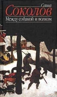 Саша Соколов - Между собакой и волком - Читать | Читать онлайн | Читаемые книги читать онлайн бесплатно | booksread-online.com
