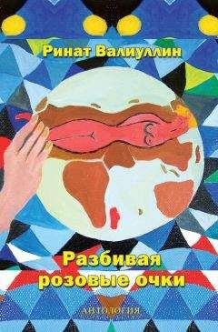 Ринат Валиуллин - Разбивая розовые очки - Читать 📖 Читать онлайн 👀 Читаемые книги читать онлайн бесплатно 🔥 booksread-online.com