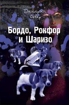 Дмитрий Север - Бордо, Рокфор и Шаризо - Читать 📖 Читать онлайн 👀 Читаемые книги читать онлайн бесплатно 🔥 booksread-online.com