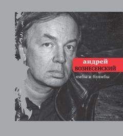 Андрей Вознесенский - Ямбы и блямбы - Читать 📖 Читать онлайн 👀 Читаемые книги читать онлайн бесплатно 🔥 booksread-online.com