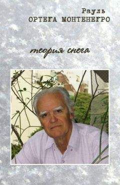 Рауль Ортега Монтенегро - Теория снега - Читать 📖 Читать онлайн 👀 Читаемые книги читать онлайн бесплатно 🔥 booksread-online.com