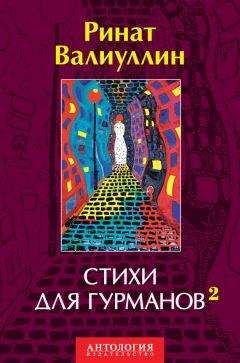 Ринат Валиуллин - Стихи для гурманов 2 - Читать 📖 Читать онлайн 👀 Читаемые книги читать онлайн бесплатно 🔥 booksread-online.com