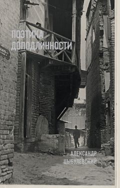Павел Нерлер - Александр Цыбулевский. Поэтика доподлинности - Читать 📖 Читать онлайн 👀 Читаемые книги читать онлайн бесплатно 🔥 booksread-online.com