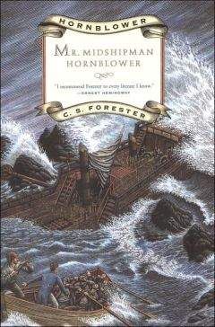 Cecil Forester - Мичман Хорнблауэр - Читать 📖 Читать онлайн 👀 Читаемые книги читать онлайн бесплатно 🔥 booksread-online.com