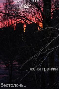 Женя Гранжи - Бестолочь - Читать | Читать онлайн | Читаемые книги читать онлайн бесплатно | booksread-online.com