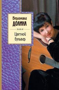 Вероника Долина - Цветной бульвар - Читать | Читать онлайн | Читаемые книги читать онлайн бесплатно | booksread-online.com