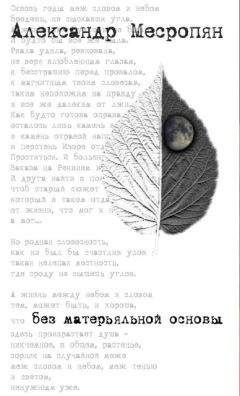 Александр Месропян - Без матерьяльной основы - Читать 📖 Читать онлайн 👀 Читаемые книги читать онлайн бесплатно 🔥 booksread-online.com