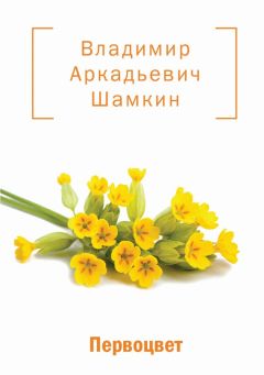 Владимир Шамкин - Первоцвет (сборник) - Читать 📖 Читать онлайн 👀 Читаемые книги читать онлайн бесплатно 🔥 booksread-online.com