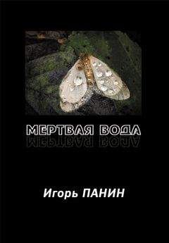 Игорь Панин - Мертвая вода: Стихи. - Читать 📖 Читать онлайн 👀 Читаемые книги читать онлайн бесплатно 🔥 booksread-online.com