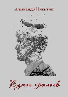 Александр Никитин - Взмах крыльев - Читать 📖 Читать онлайн 👀 Читаемые книги читать онлайн бесплатно 🔥 booksread-online.com