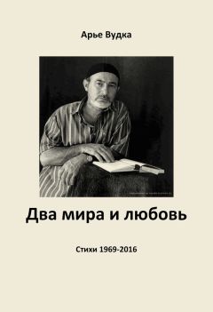 Арье Вудка - Два мира и любовь - Читать 📖 Читать онлайн 👀 Читаемые книги читать онлайн бесплатно 🔥 booksread-online.com