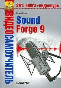Игорь Квинт - Sound Forge 9 - Читать 📖 Читать онлайн 👀 Читаемые книги читать онлайн бесплатно 🔥 booksread-online.com