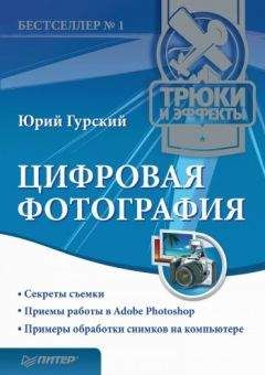 Юрий Гурский - Цифровая фотография. Трюки и эффекты - Читать 📖 Читать онлайн 👀 Читаемые книги читать онлайн бесплатно 🔥 booksread-online.com
