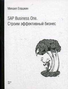 Михаил Елашкин - SAP Business One. Строим эффективный бизнес - Читать 📖 Читать онлайн 👀 Читаемые книги читать онлайн бесплатно 🔥 booksread-online.com