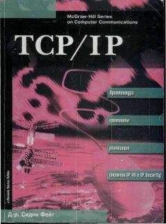 Сидни Фейт - TCP/IP Архитектура, протоколы, реализация (включая IP версии 6 и IP Security) - Читать 📖 Читать онлайн 👀 Читаемые книги читать онлайн бесплатно 🔥 booksread-online.com
