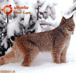 Вадим Неворотин - Руководство по переходу на Ubuntu 10.04 LTS «Lucid Lynx» - Читать | Читать онлайн | Читаемые книги читать онлайн бесплатно | booksread-online.com