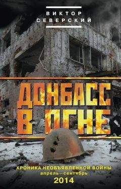 Виктор Северский - Донбасс в огне. Хроника необъявленной войны. Апрель – сентябрь 2014 - Читать 📖 Читать онлайн 👀 Читаемые книги читать онлайн бесплатно 🔥 booksread-online.com