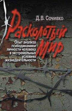 Дмитрий Сочивко - Расколотый мир. Опыт анализа психодинамики личности человека в экстремальных условиях жизнедеятельности - Читать | Читать онлайн | Читаемые книги читать онлайн бесплатно | booksread-online.com