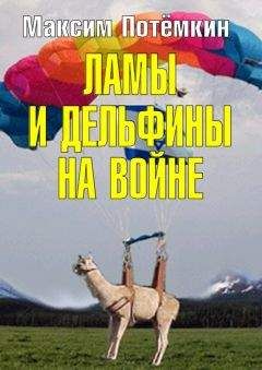 Максим Потёмкин - Ламы и дельфины на войне - Читать 📖 Читать онлайн 👀 Читаемые книги читать онлайн бесплатно 🔥 booksread-online.com