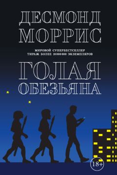 Десмонд Моррис - Голая обезьяна (сборник) - Читать 📖 Читать онлайн 👀 Читаемые книги читать онлайн бесплатно 🔥 booksread-online.com