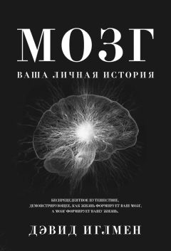 Дэвид Иглмен - Мозг: Ваша личная история - Читать 📖 Читать онлайн 👀 Читаемые книги читать онлайн бесплатно 🔥 booksread-online.com