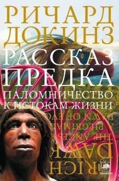 Ричард Докинз - Рассказ предка. Паломничество к истокам жизни - Читать 📖 Читать онлайн 👀 Читаемые книги читать онлайн бесплатно 🔥 booksread-online.com