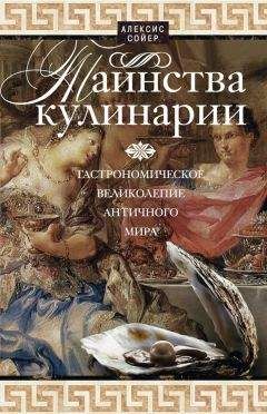 Алексис Сойер - Таинства кулинарии. Гастрономическое великолепие Античного мира - Читать 📖 Читать онлайн 👀 Читаемые книги читать онлайн бесплатно 🔥 booksread-online.com