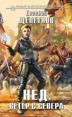 Евгений Щепетнов - Нед. Ветер с севера - Читать 📖 Читать онлайн 👀 Читаемые книги читать онлайн бесплатно 🔥 booksread-online.com