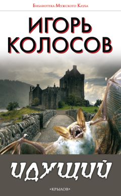 Игорь Колосов - Идущий - Читать 📖 Читать онлайн 👀 Читаемые книги читать онлайн бесплатно 🔥 booksread-online.com