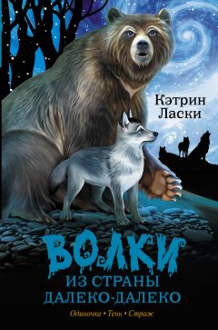 Кэтрин Ласки - Волки из страны Далеко-Далеко. Одиночка. Тень. Страж - Читать 📖 Читать онлайн 👀 Читаемые книги читать онлайн бесплатно 🔥 booksread-online.com