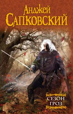 Анджей Сапковский - Сезон гроз - Читать 📖 Читать онлайн 👀 Читаемые книги читать онлайн бесплатно 🔥 booksread-online.com