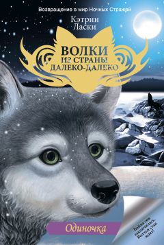 Кэтрин Ласки - Одиночка - Читать 📖 Читать онлайн 👀 Читаемые книги читать онлайн бесплатно 🔥 booksread-online.com