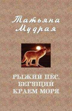 Татьяна Мудрая - Рыжий пёс, бегущий краем моря - Читать 📖 Читать онлайн 👀 Читаемые книги читать онлайн бесплатно 🔥 booksread-online.com