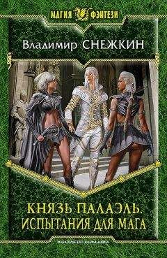 Владимир Снежкин - Князь Палаэль. Испытания для мага - Читать 📖 Читать онлайн 👀 Читаемые книги читать онлайн бесплатно 🔥 booksread-online.com