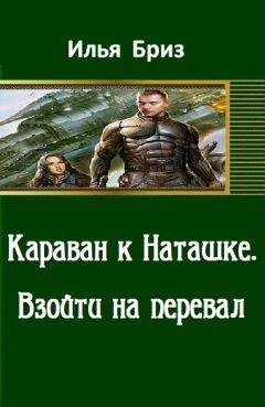 Илья Бриз - ВЗОЙТИ НА ПЕРЕВАЛ - Читать 📖 Читать онлайн 👀 Читаемые книги читать онлайн бесплатно 🔥 booksread-online.com