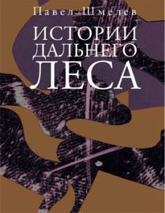 Павел Шмелев - Истории Дальнего Леса - Читать 📖 Читать онлайн 👀 Читаемые книги читать онлайн бесплатно 🔥 booksread-online.com