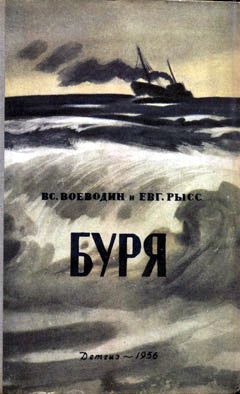Всеволод Воеводин - Буря - Читать 📖 Читать онлайн 👀 Читаемые книги читать онлайн бесплатно 🔥 booksread-online.com