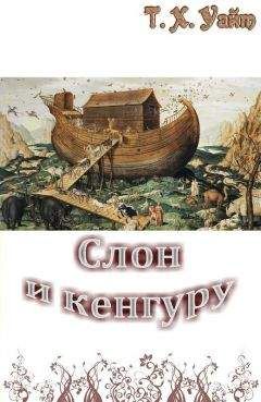 Теренс Уайт - Слон и кенгуру - Читать 📖 Читать онлайн 👀 Читаемые книги читать онлайн бесплатно 🔥 booksread-online.com