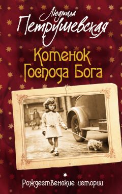Людмила Петрушевская - Котенок Господа Бога. Рождественские истории (сборник) - Читать 📖 Читать онлайн 👀 Читаемые книги читать онлайн бесплатно 🔥 booksread-online.com