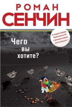 Роман Сенчин - Чего вы хотите? (сборник) - Читать 📖 Читать онлайн 👀 Читаемые книги читать онлайн бесплатно 🔥 booksread-online.com