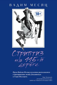 Вадим Месяц - Стриптиз на 115-й дороге (сборник) - Читать 📖 Читать онлайн 👀 Читаемые книги читать онлайн бесплатно 🔥 booksread-online.com