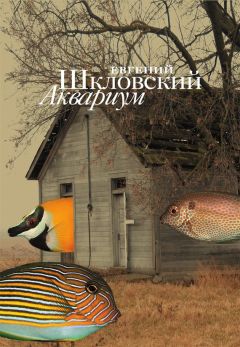 Евгений Шкловский - Аквариум (сборник) - Читать 📖 Читать онлайн 👀 Читаемые книги читать онлайн бесплатно 🔥 booksread-online.com