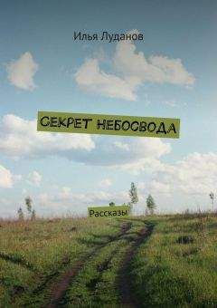 Илья Луданов - Секрет Небосвода. Рассказы - Читать 📖 Читать онлайн 👀 Читаемые книги читать онлайн бесплатно 🔥 booksread-online.com