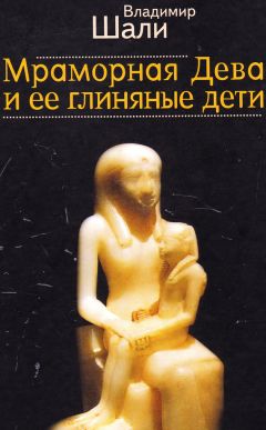 Владимир Шали - Мраморная дева и ее глиняные дети - Читать 📖 Читать онлайн 👀 Читаемые книги читать онлайн бесплатно 🔥 booksread-online.com