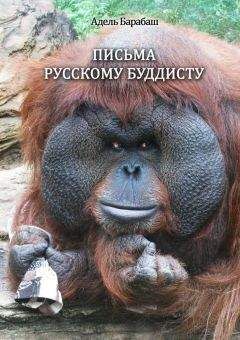 Адель Барабаш - Письма русскому буддисту - Читать 📖 Читать онлайн 👀 Читаемые книги читать онлайн бесплатно 🔥 booksread-online.com