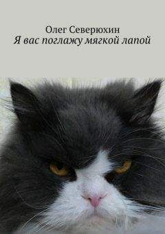 Олег Северюхин - Я вас поглажу мягкой лапой - Читать 📖 Читать онлайн 👀 Читаемые книги читать онлайн бесплатно 🔥 booksread-online.com