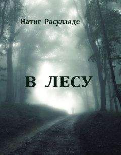 Натиг Расулзаде - В лесу - Читать 📖 Читать онлайн 👀 Читаемые книги читать онлайн бесплатно 🔥 booksread-online.com
